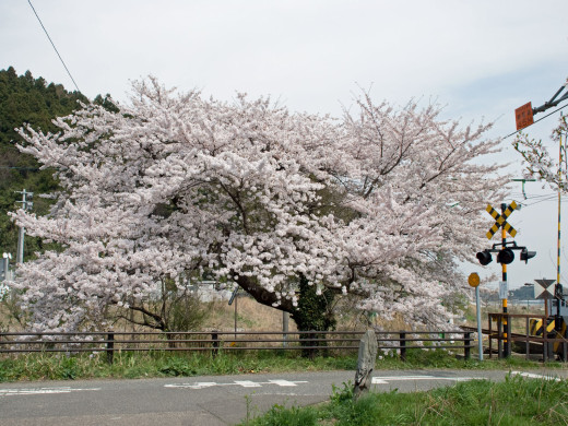 46344 (a): :1600x1200